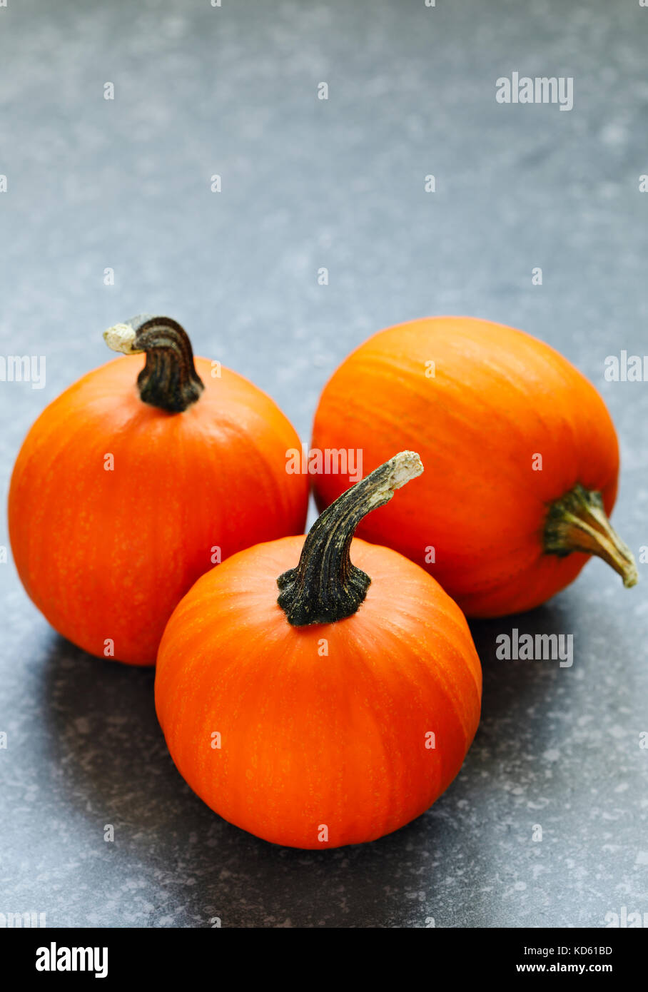 Le zucche su sfondo di pietra con spazio di copia Foto Stock