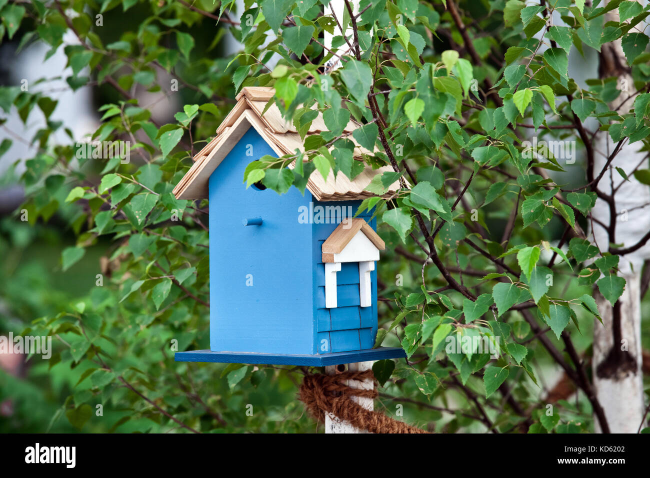 Blue birdhouse sulla struttura ad albero Foto Stock