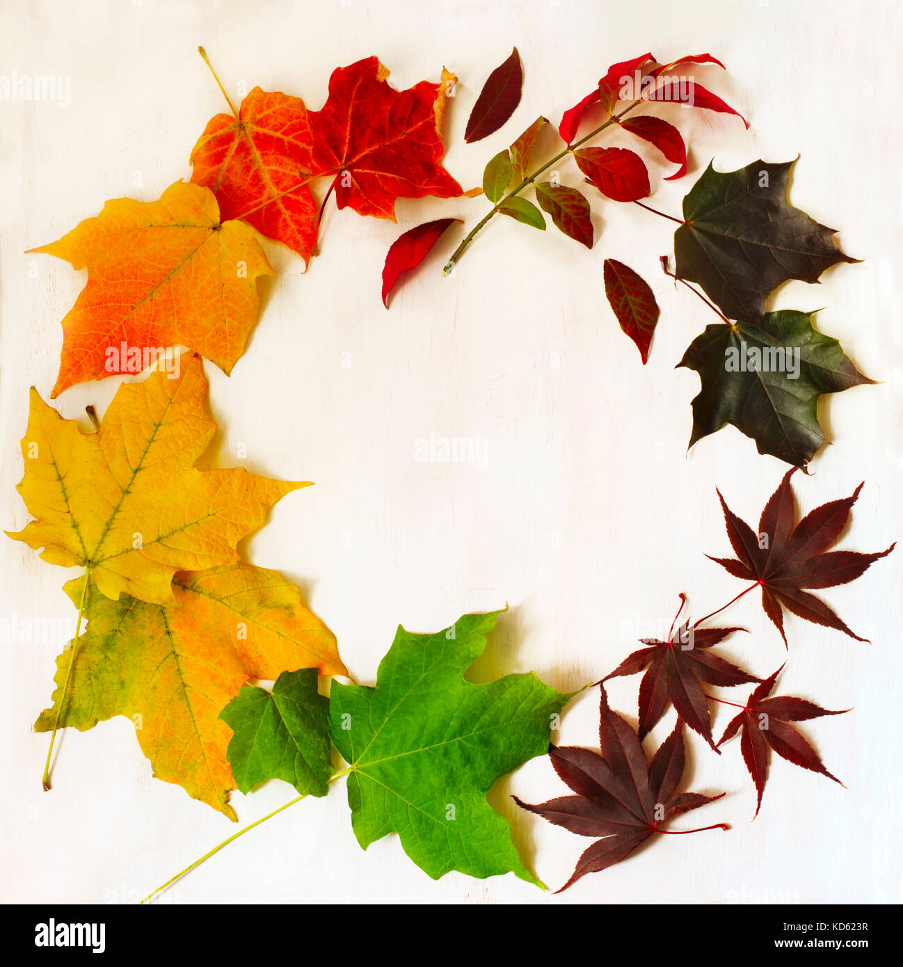 Autunno foglie colorate telaio, spazio di copia Foto Stock