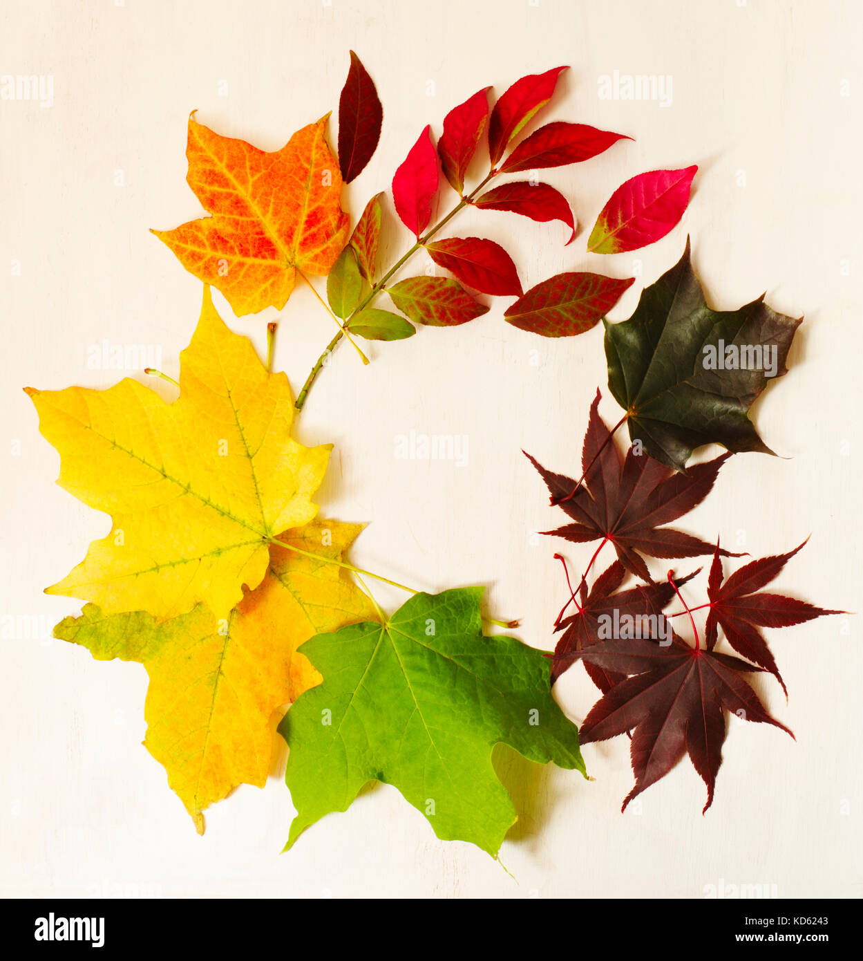 Autunno foglie colorate telaio, spazio di copia Foto Stock