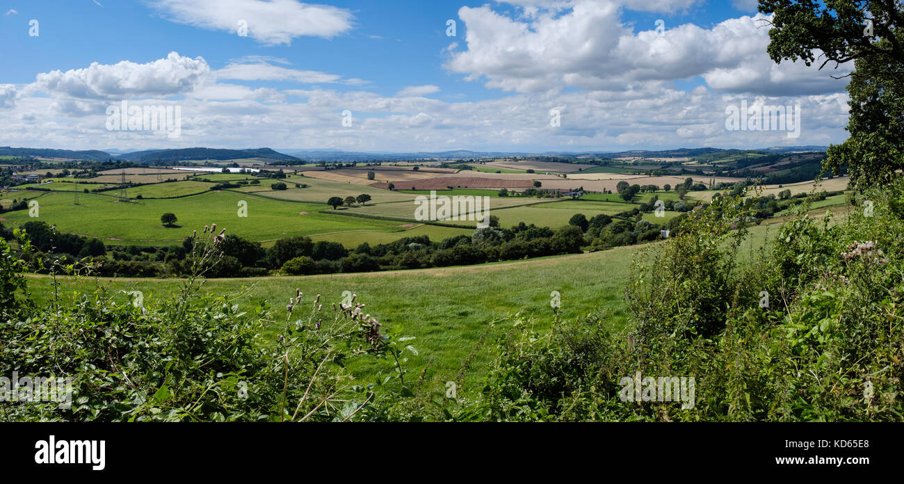 Lato paese nel GLOUCESTERSHIRE REGNO UNITO Foto Stock