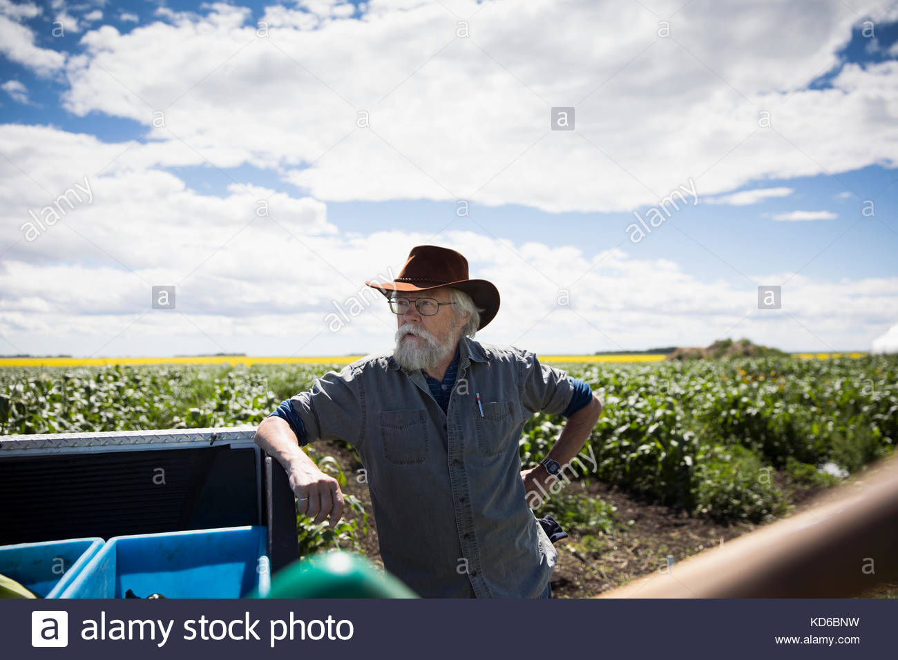 Senior agricoltore maschio appoggiata sul carrello di sunny farm Foto Stock