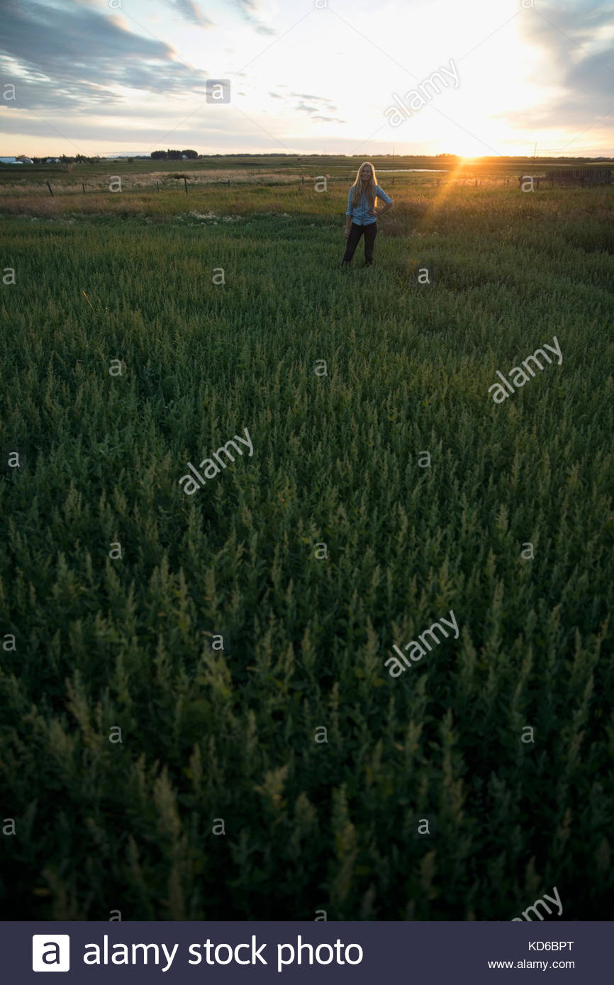 L'agricoltore femmina guardando idilliaco paesaggio di fattoria al tramonto Foto Stock
