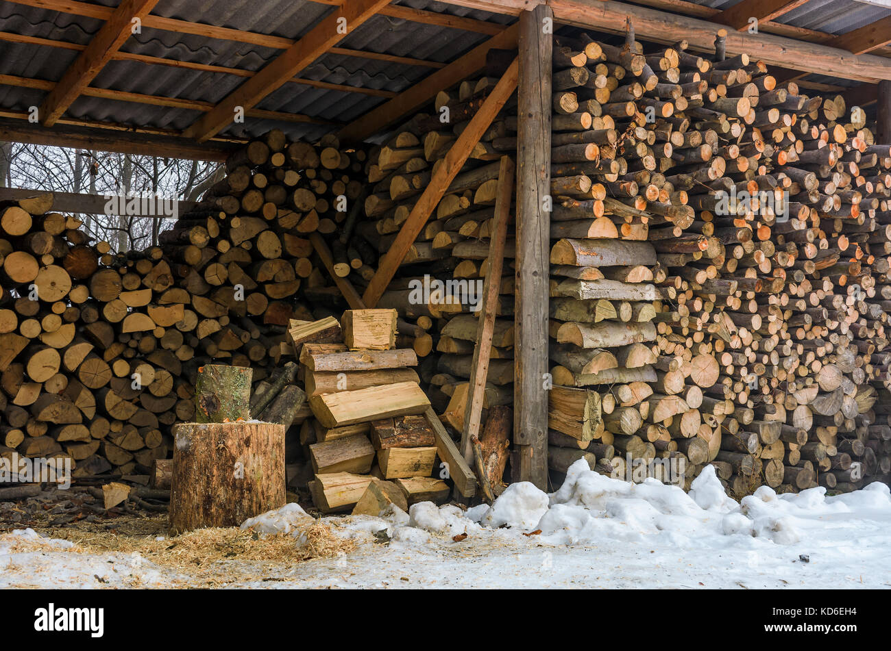 Legnaia piena di legna da ardere spaccati. bellissima scena di ogni giorno della vita rurale in inverno. energia ecologica concetto Foto Stock