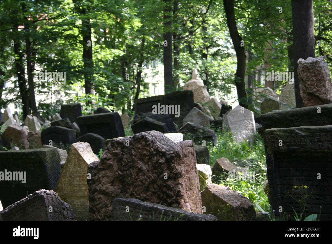 Cimitero ebraico di Praga nel Josefov il quartiere ebraico in vista di- lapidi. Xv secolo cimitero. A causa di restrizioni della Comunità è stato costretto a seppellire i corpi sulla parte superiore di ogni altro - pensato per essere 12 profonda Foto Stock