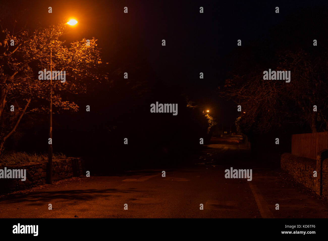 Strada vuota in una notte buia con un orange street luce che illumina la strada e un albero con una copia dello spazio. Foto Stock