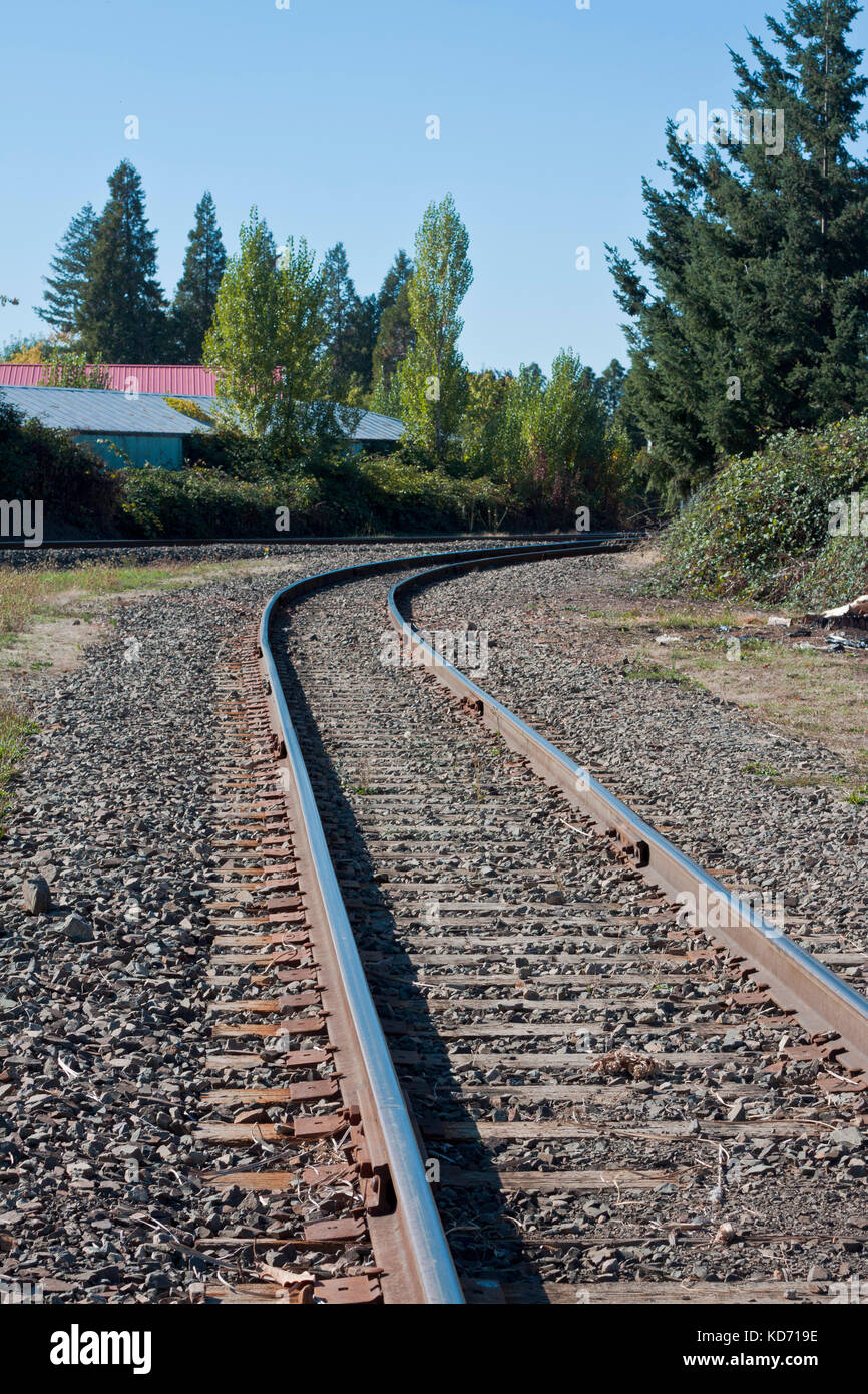 Binari del treno attraverso una zona rurale Foto Stock