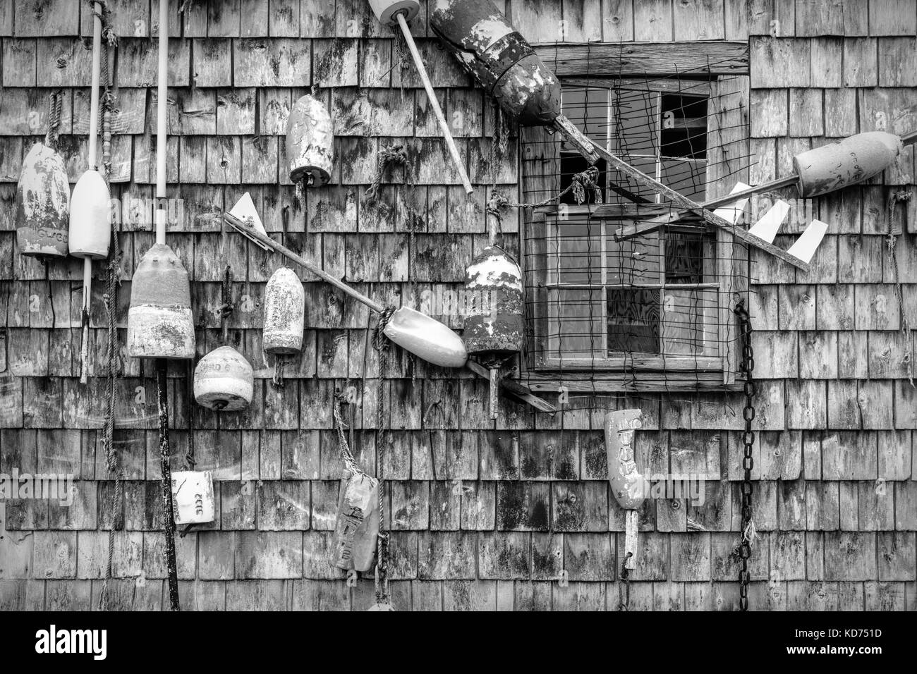 Cape Neddick Lobster Pound, York, Maine Foto Stock