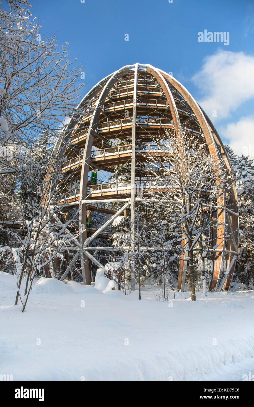Baumwipfelpfad in inverno, torre di legno la costruzione della più lunga del mondo Tree Top Walk nel parco nazionale della foresta bavarese, Germania Foto Stock