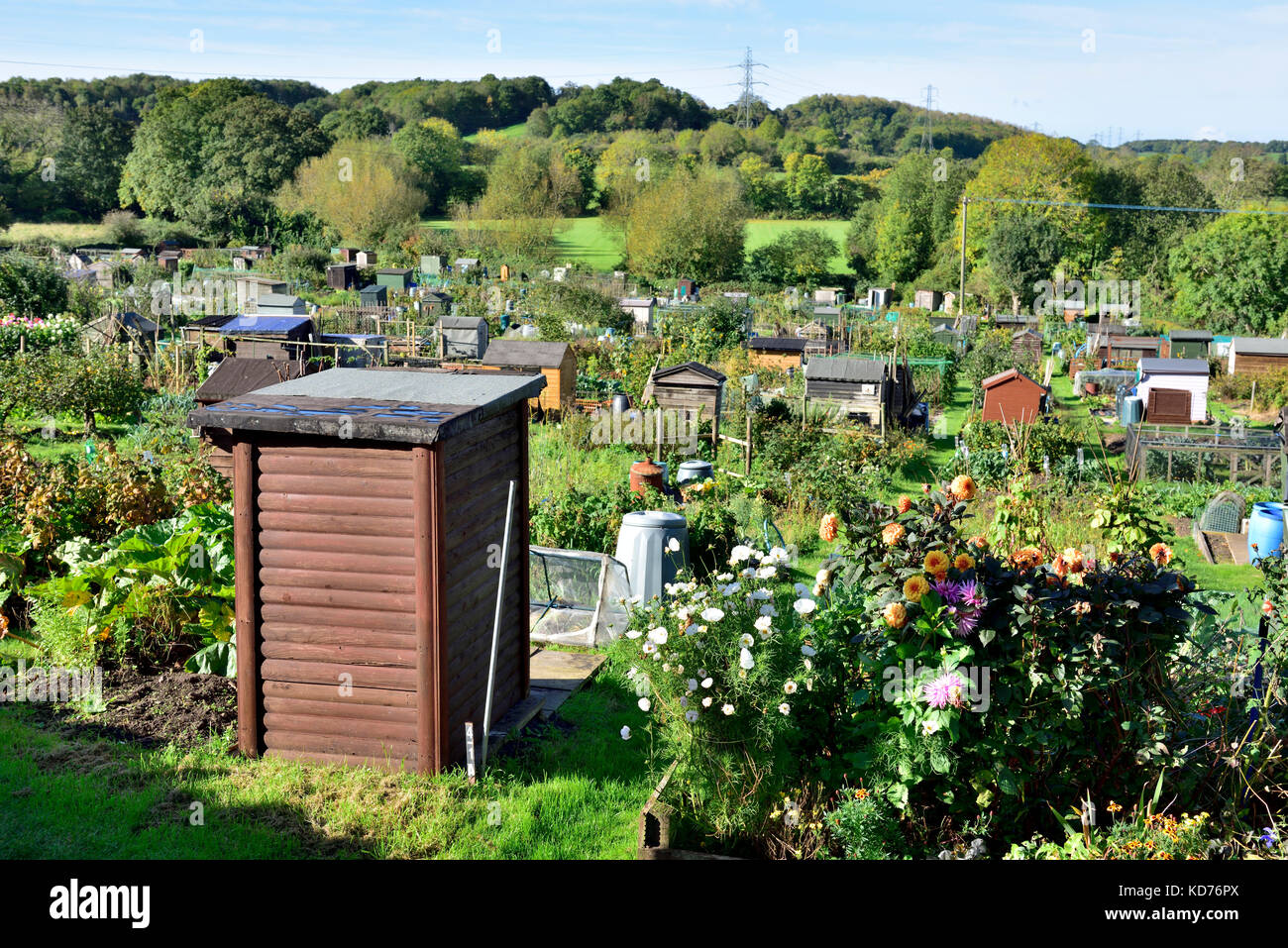 Inglese riparto giardini con tipico giardino capannoni e la coltivazione dei fiori e verdure, città mercato di Thornbury, South Gloucestershire Foto Stock