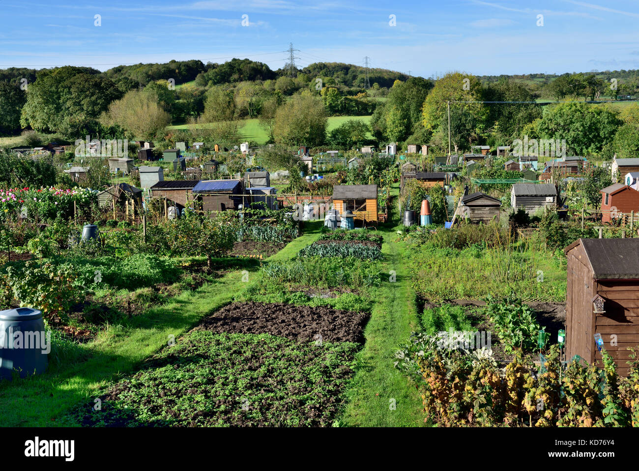 Inglese riparto giardini con tipici orti, giardino capannoni e la coltivazione dei fiori in città mercato di Thornbury, South Gloucestershire Foto Stock
