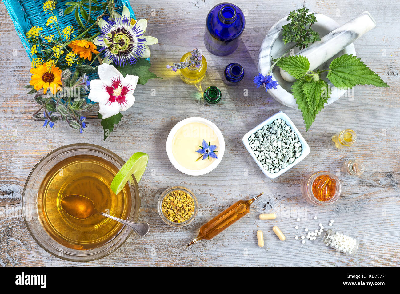 Malta in ceramica con erbe e piante medicinali fresche su vecchia tavola di legno bianco. Preparazione di piante medicinali per la fitoterapia e la bellezza della salute Foto Stock