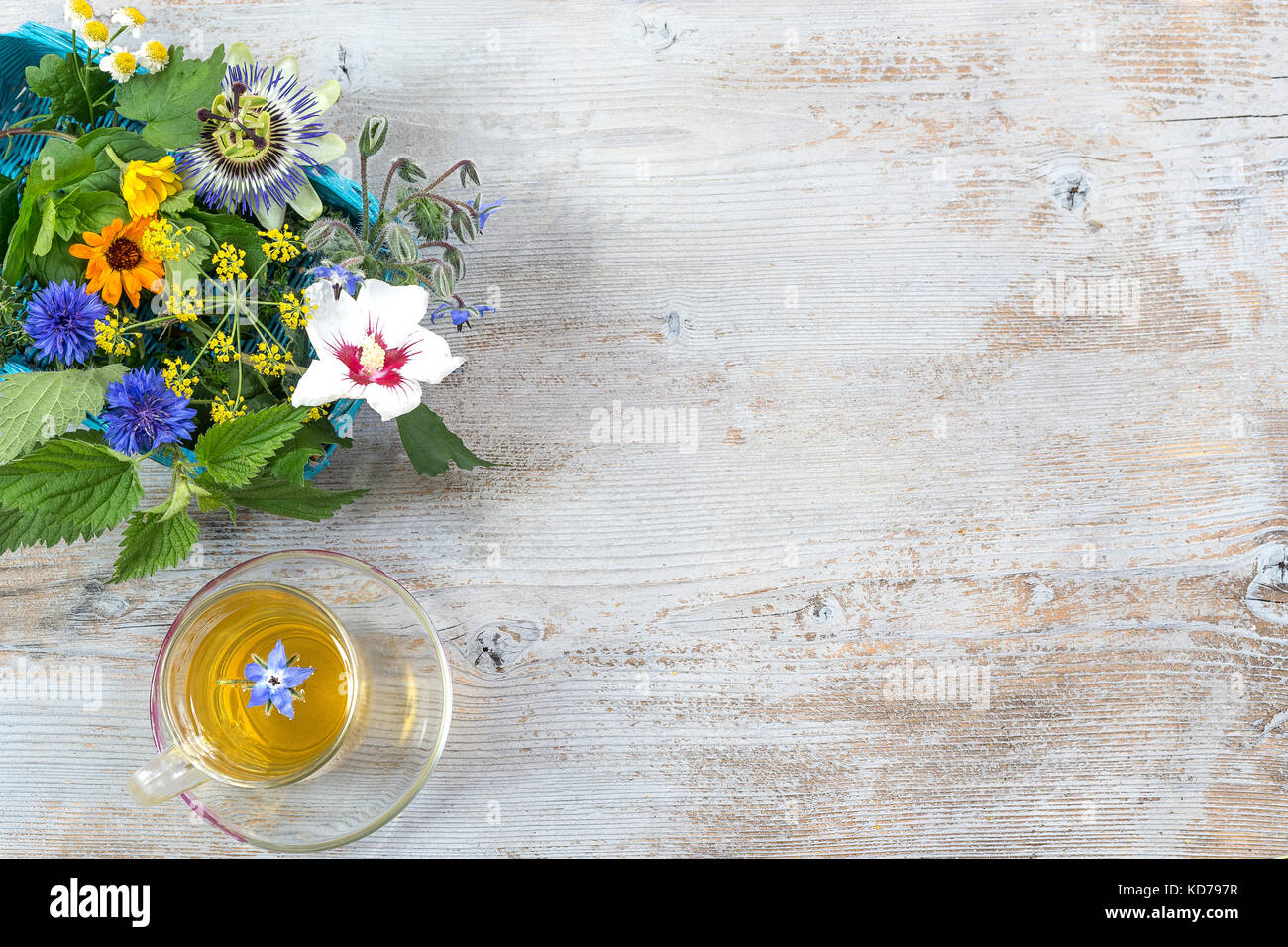 Varie erbe fresche e tè alle erbe su brith tavolo in legno. fresche piante medicinali e in bundle. preparazione di piante medicinali per la fitoterapia e la promozione della salute, spazio di copia Foto Stock