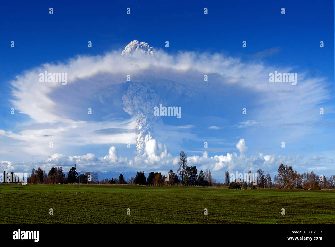 Immagini dell'eruzione presso il cordone del caulle, Ande, nelle vicinanze del vulcano puyehue, situato nel sud del Cile, regione de los Lagos. osorno, Foto Stock