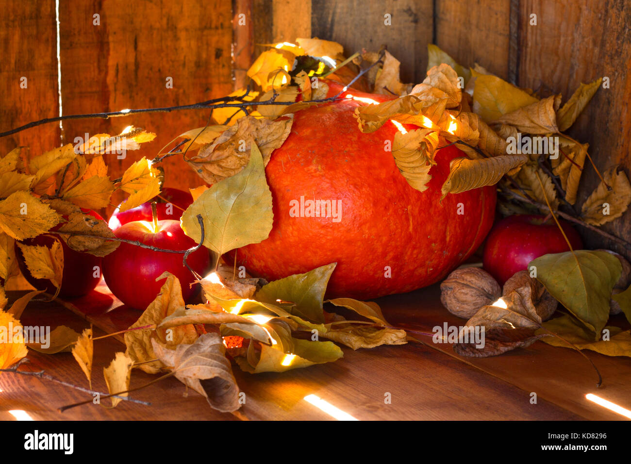 Un rustico di autunno ancora in vita con zucche e foglie d'oro su una superficie in legno. la luminosa luce del sole proveniente da dietro. Foto Stock