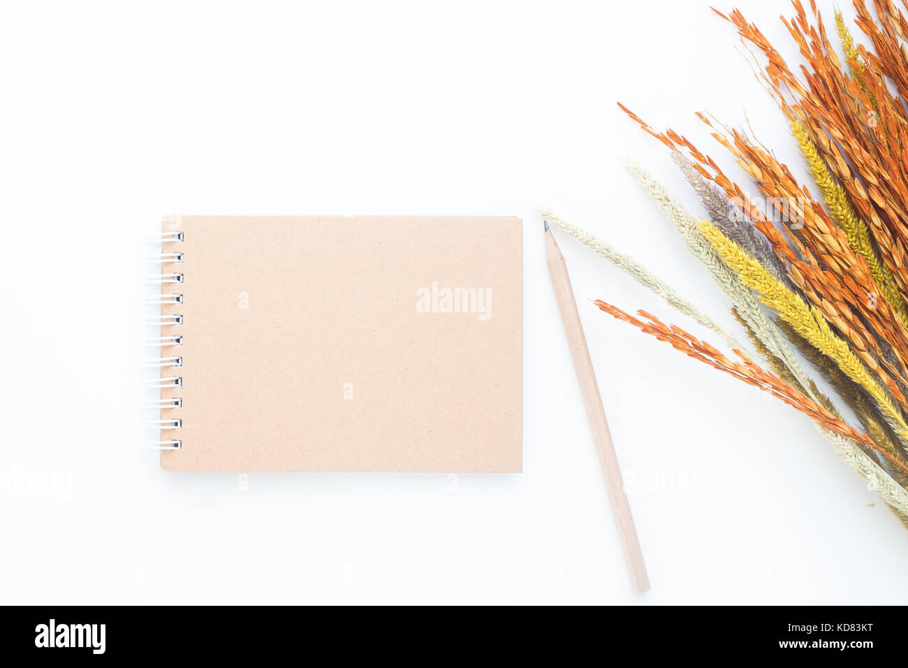 Creative laici piana del notebook in bianco e matita su sfondo bianco, lo stile di vita di autunno Foto Stock