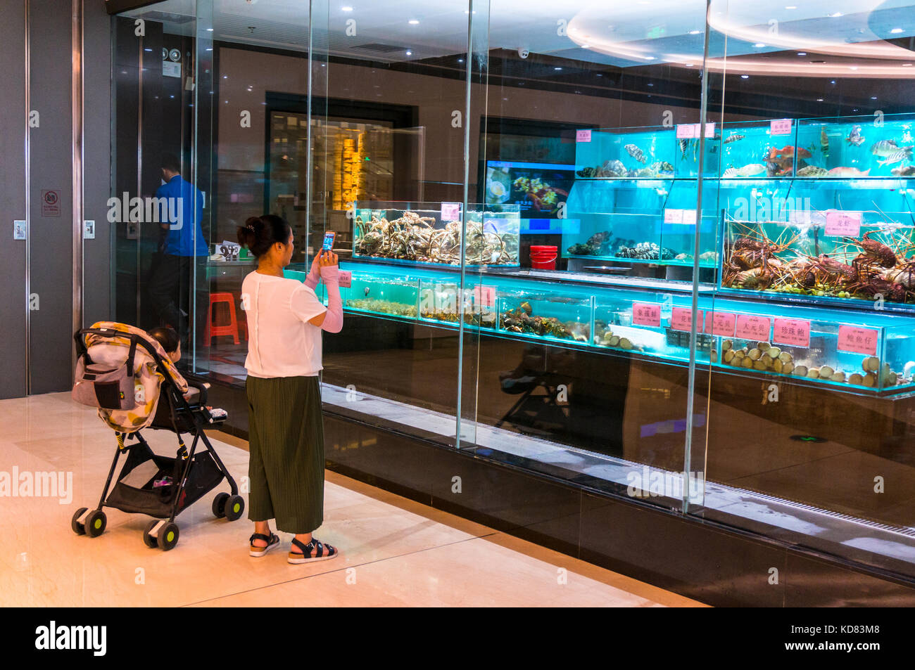 Donna di scattare le foto di pesce vivo in vasche a un cinese il ristorante di pesce di Shenzhen, Cina Foto Stock