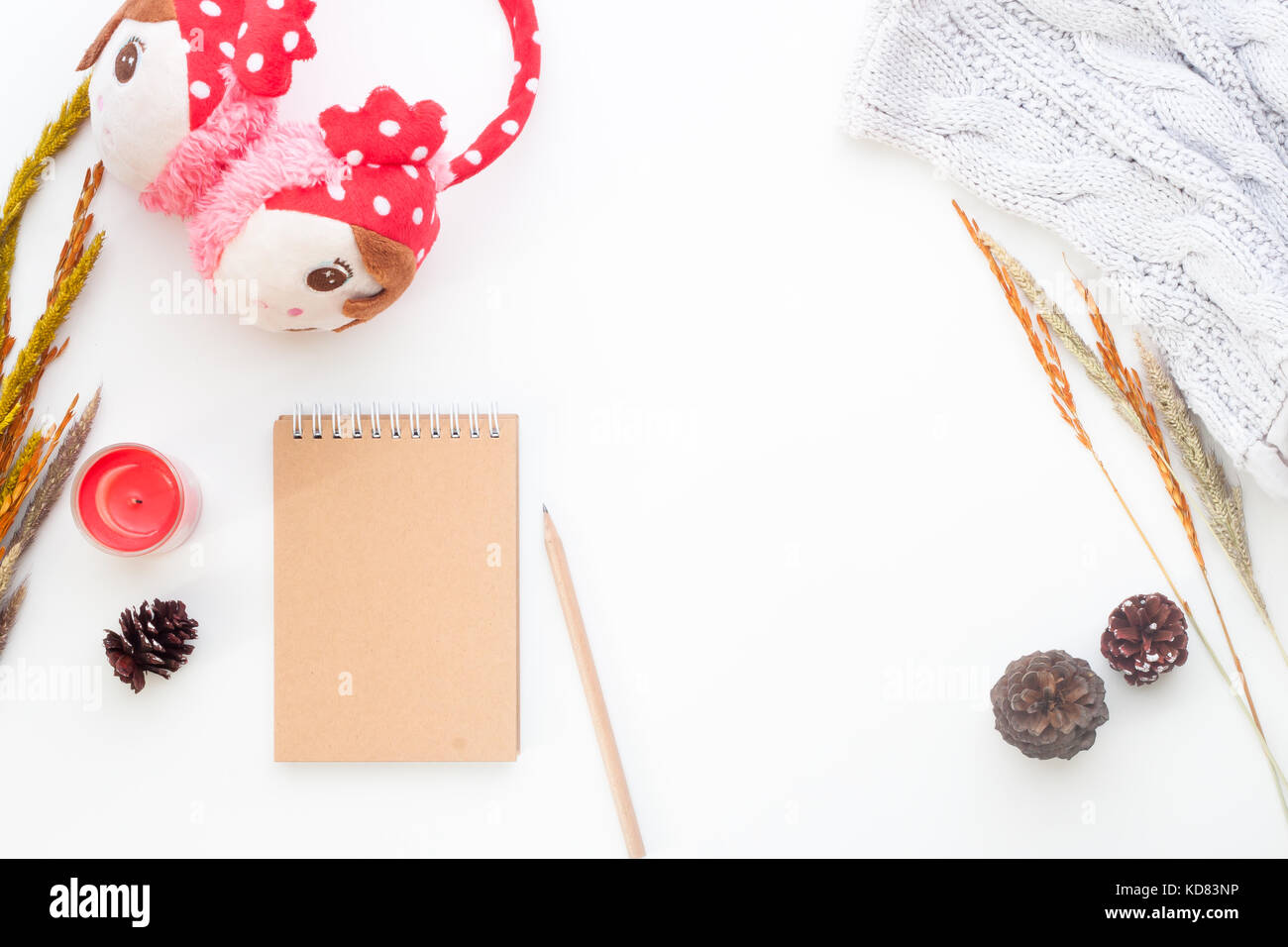Creative laici piana del concetto di inverno con i notebook, matita, fiori secchi e ragazza accessori su sfondo bianco Foto Stock