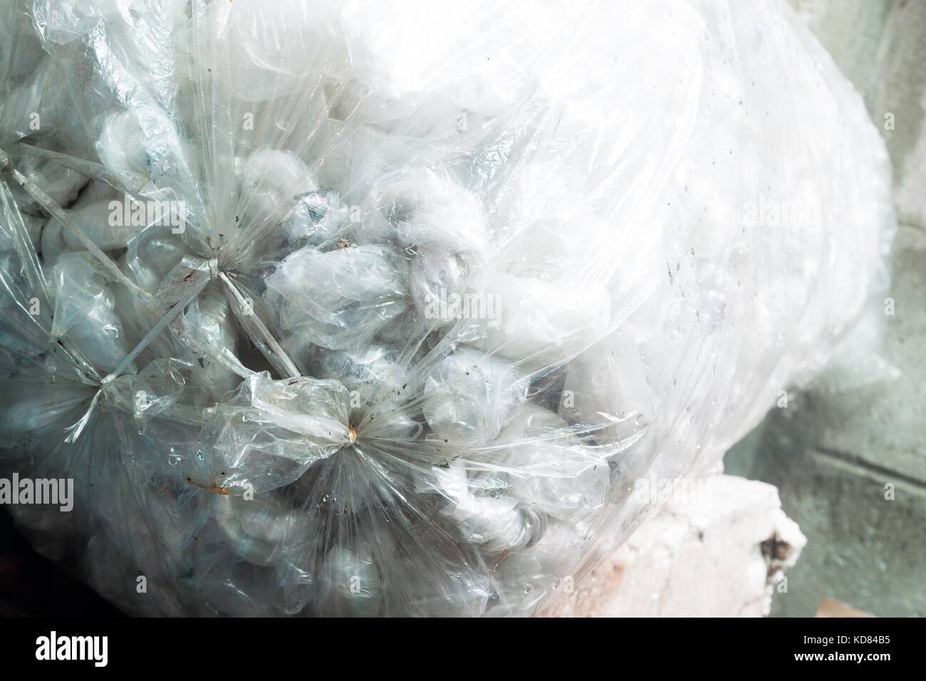Il riciclaggio dei sacchetti di plastica Foto Stock