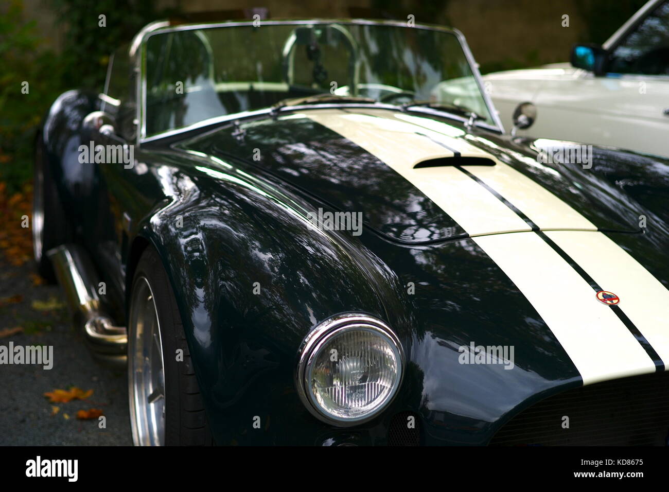 AC Cobra Foto Stock