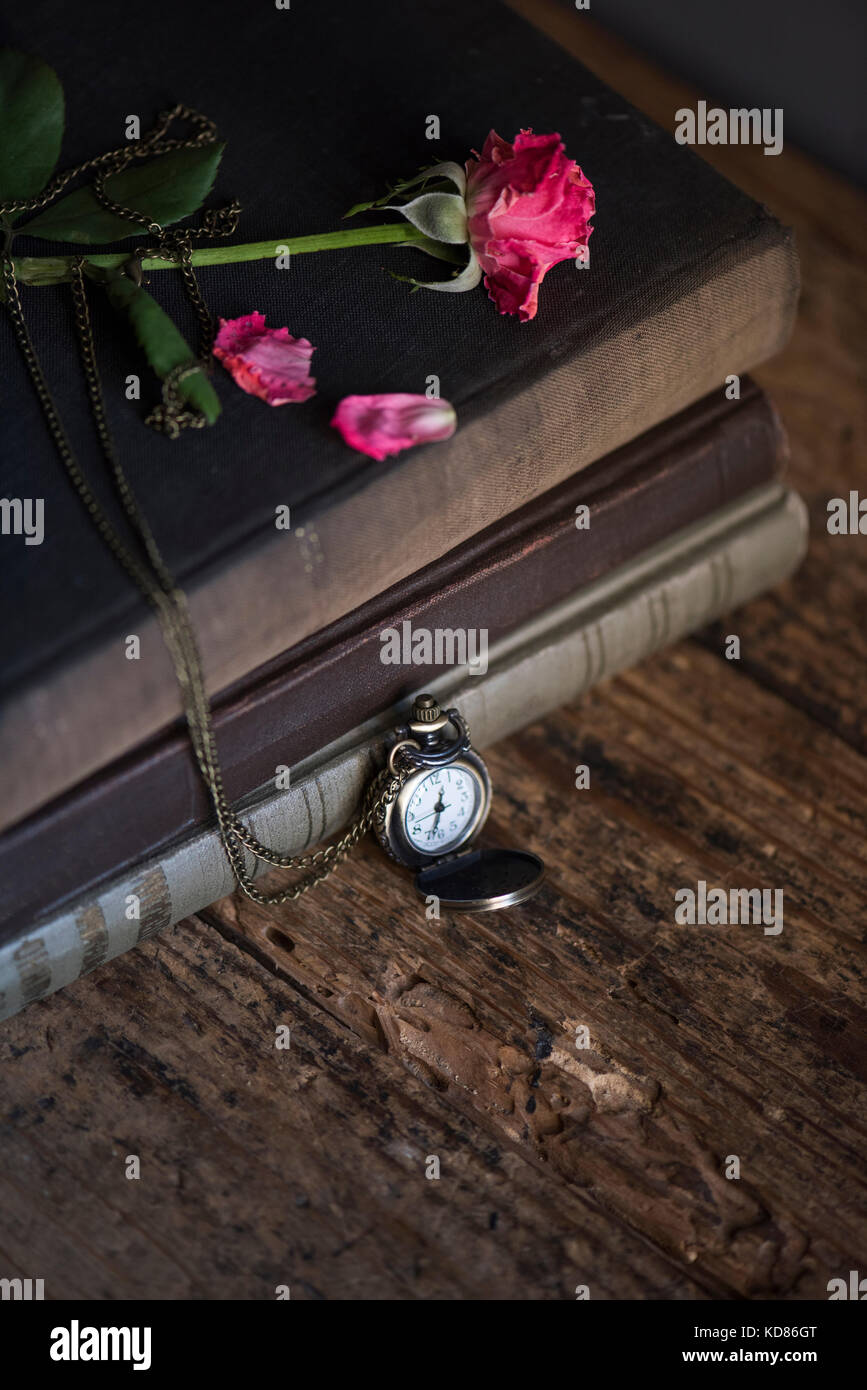 Sorse su una pila di libri e guarda su un tavolo di legno Foto Stock