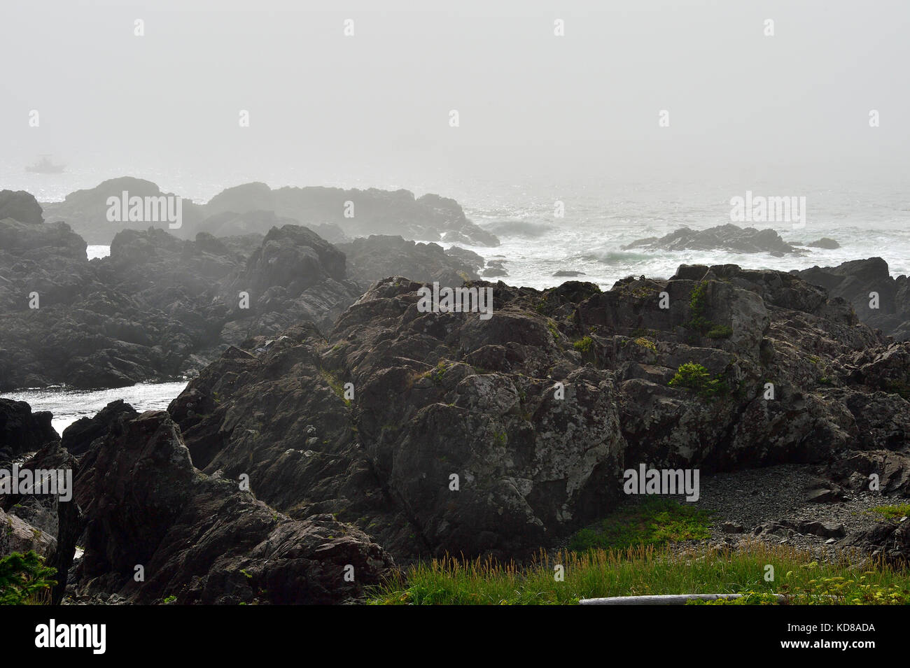 Un robusto Pacific Coast line vicino alla città di Ucluelet sulla costa occidentale dell'isola di Vancouver, British Columbia, Canada. Foto Stock