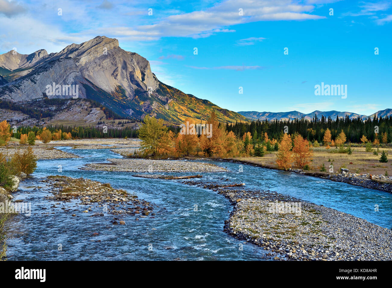 Un paesaggio autunnale immagine di Fiddle fiume che scorre verso il fiume Athabasca nel Parco Nazionale di Jasper,Alberta, Canada. Foto Stock