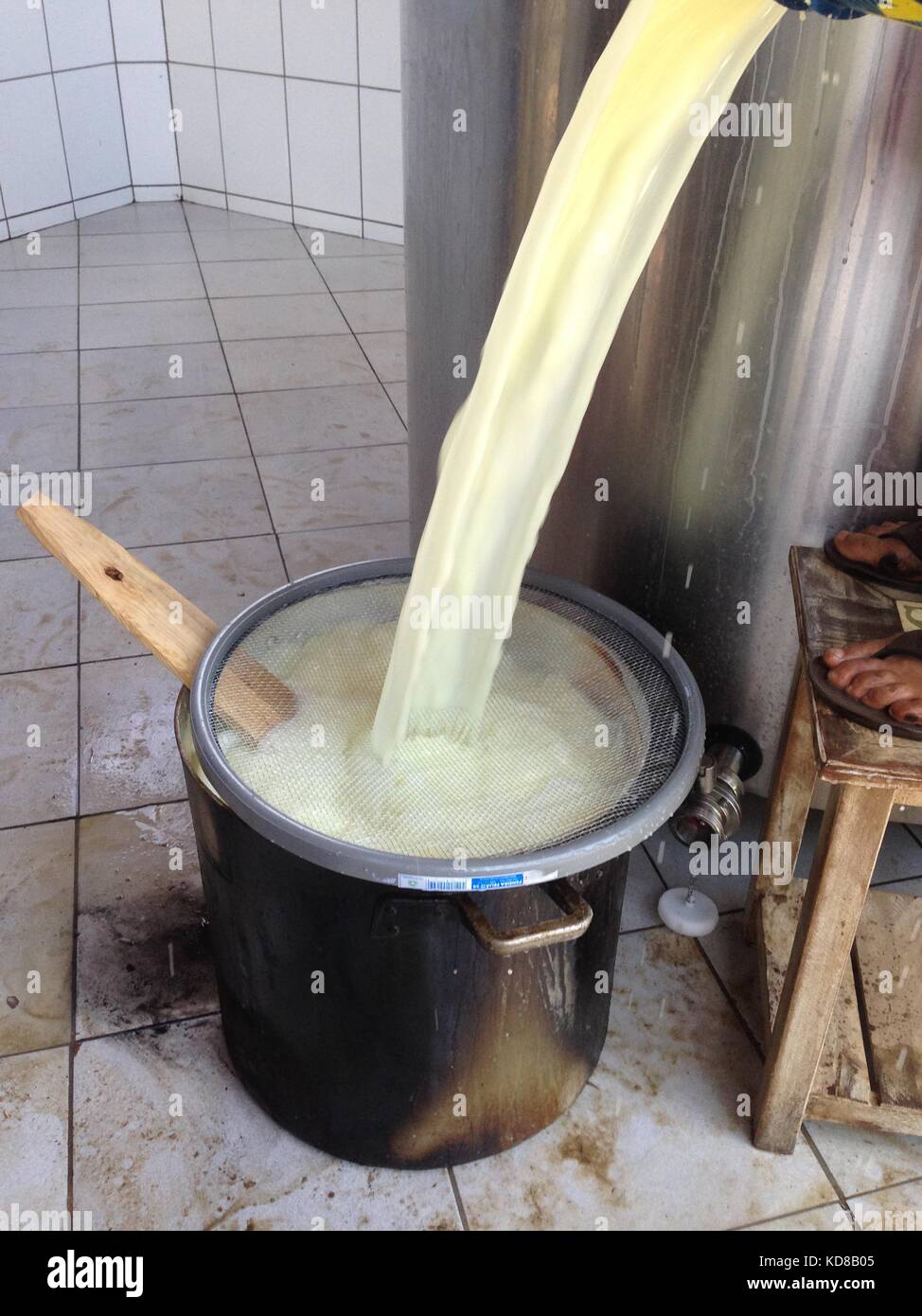 La lavorazione del formaggio in un agriturismo rustico, il drenaggio del siero di latte Foto Stock