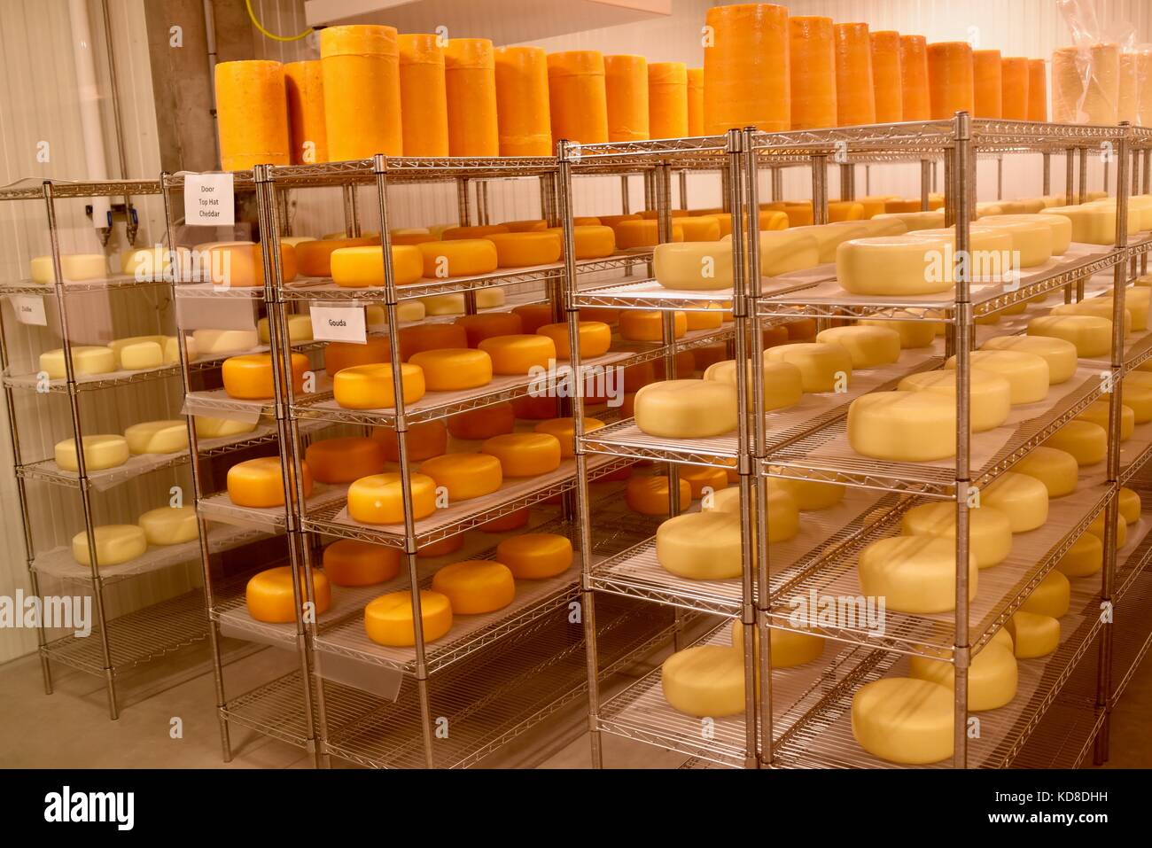 Invecchiamento del formaggio Formaggio di Grotta presso la porta di formaggio artigianale azienda porta in county community del porto di uovo, Wisconsin. Foto Stock