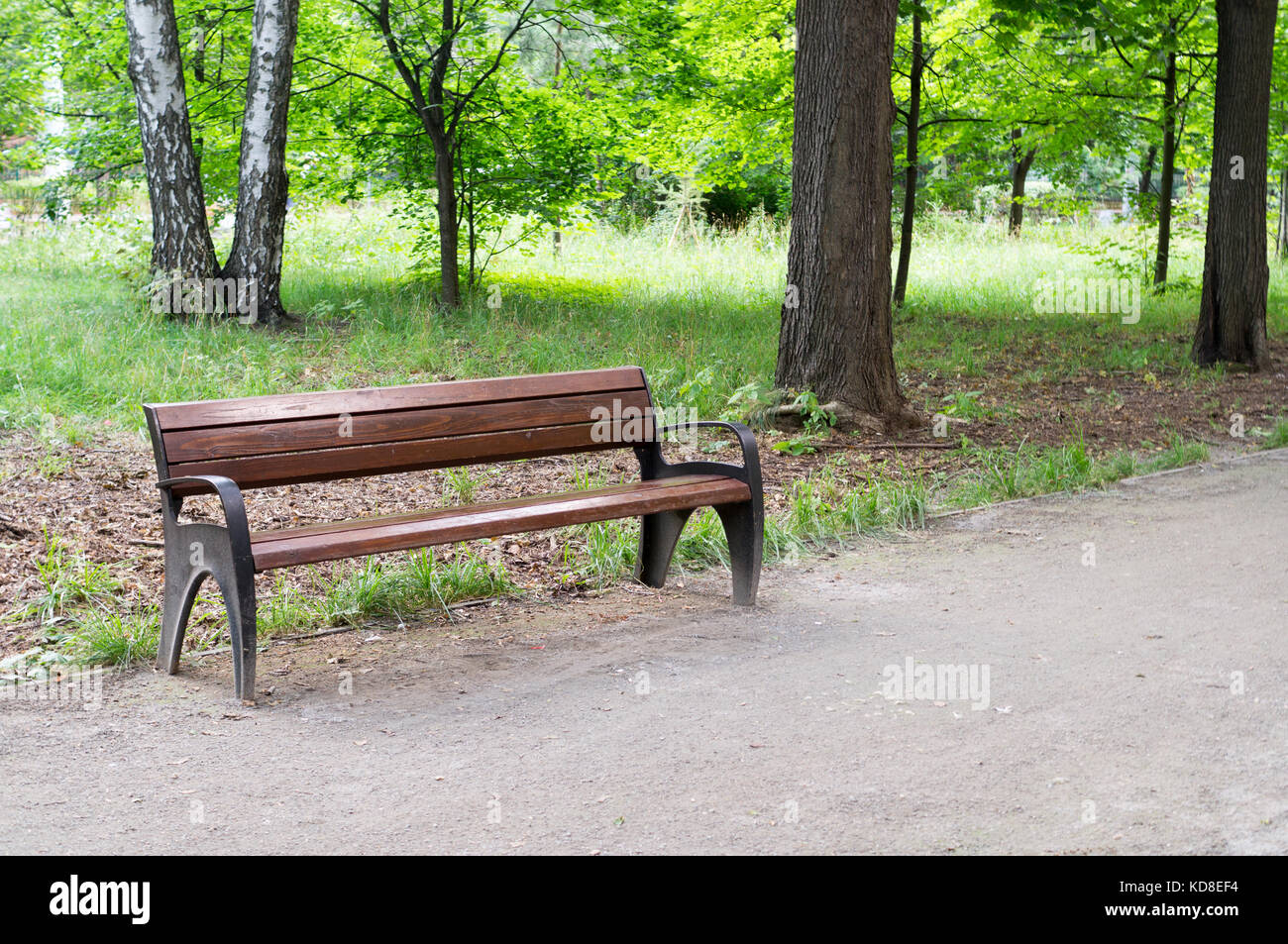 Percorso con banco in un tranquillo parco di estate. sfondo, natura. Foto Stock