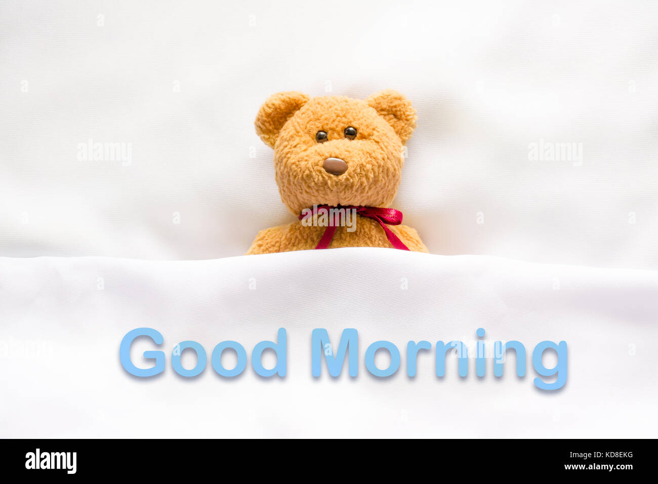 Orsacchiotto di peluche che giace nel letto bianco con il messaggio '  buongiorno ' Foto stock - Alamy
