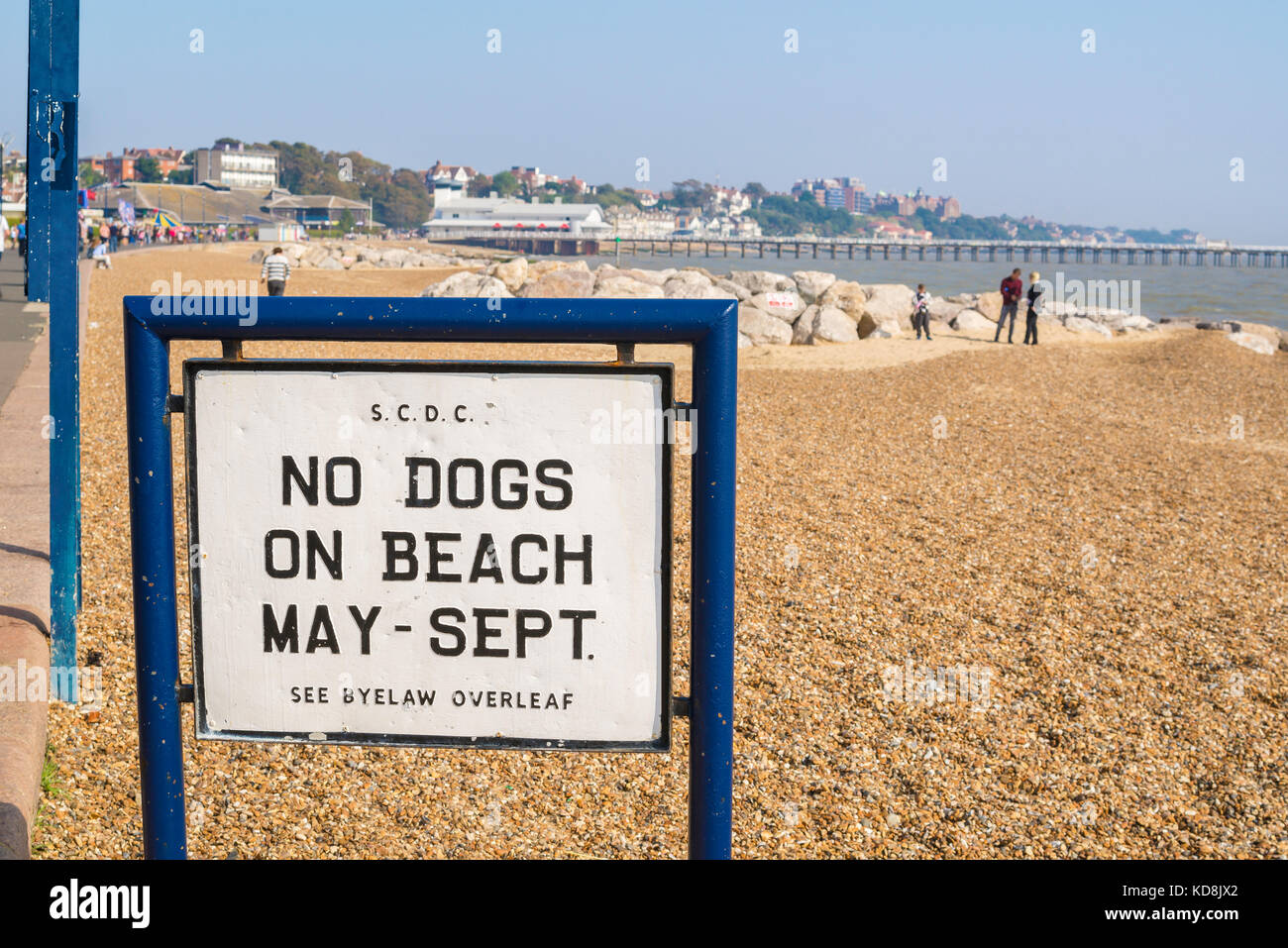 Nessun segno di cani, vista di un segno sulla spiaggia di Felixstowe che vieta i cani durante la stagione estiva, Suffolk, Inghilterra, Regno Unito Foto Stock