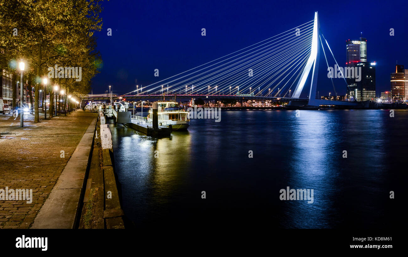 Il ponte di Erasmus è un cavo combinato-alloggiato e ponte a bilico nel centro di Rotterdam, che collega il nord e il sud di parti di questa città Foto Stock