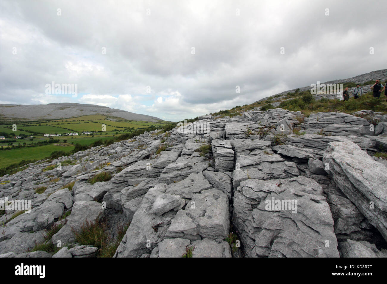 Area di burren Irlanda Foto Stock