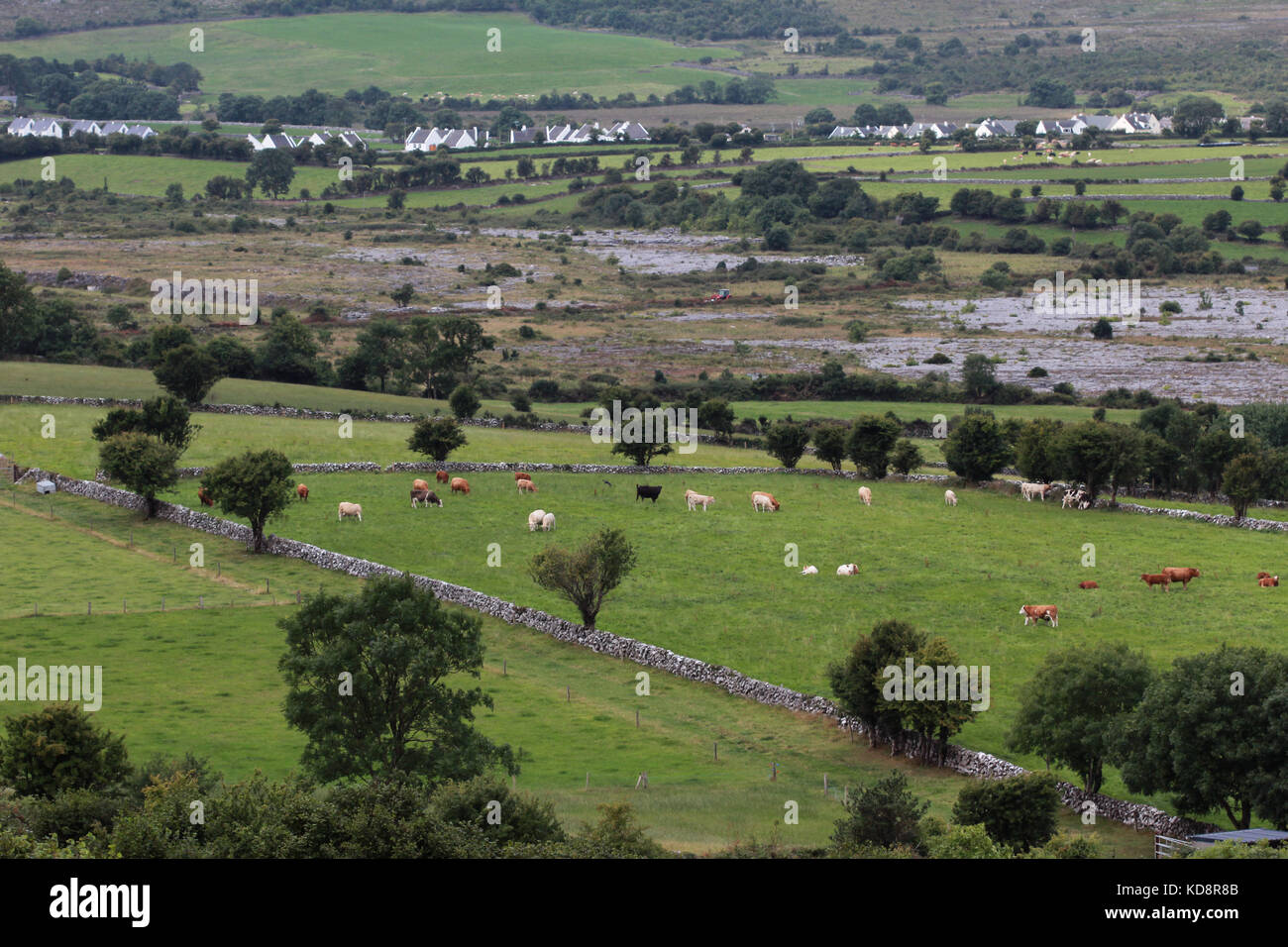 Area di burren Irlanda Foto Stock