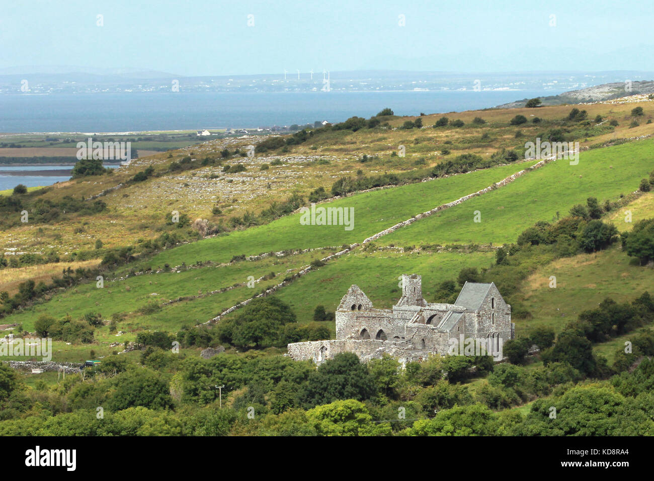 Area di burren Irlanda Foto Stock