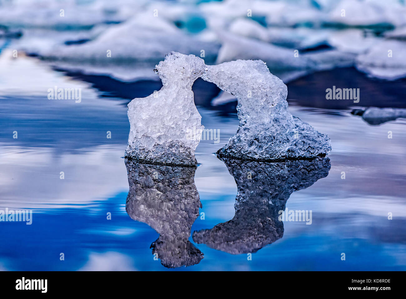 Il ghiaccio naturale le sculture di due animali baciare in jokulsarlon laguna glaciale nel sud dell'Islanda Foto Stock