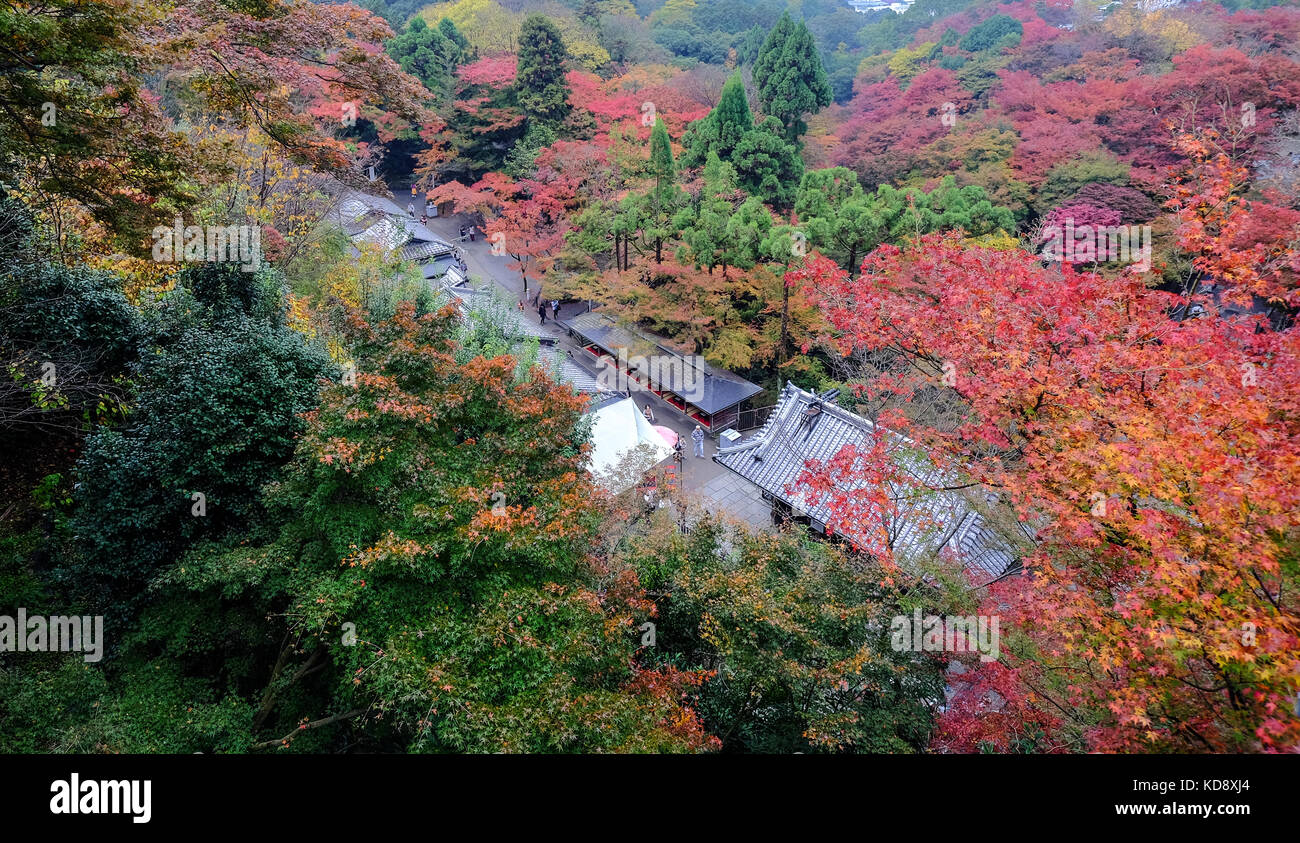 La gente visita Kiyomizu-dera tempio in autunno a Kyoto, in Giappone. Foto Stock