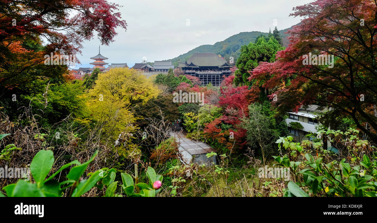 Vista di Kiyomizu-dera in autunno a Kyoto, Giappone. Il tempio fa parte dei monumenti storici di antiche di Kyoto UNESCO - Sito Patrimonio dell'umanità. Foto Stock