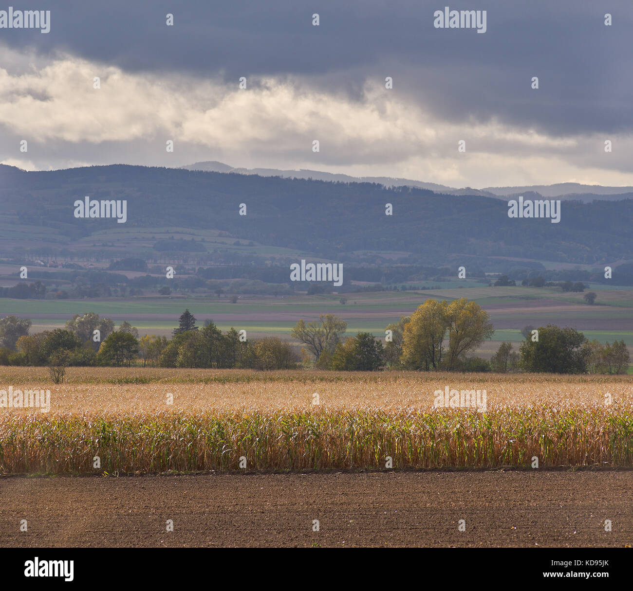 Cielo nuvoloso la tempesta e la pioggia su montagne scabrosi Sowie Owl Montagne Bassa Slesia Polonia Foto Stock