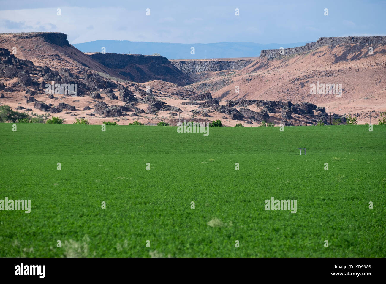 Irrigazione in Snake River Valley di Idaho Foto Stock