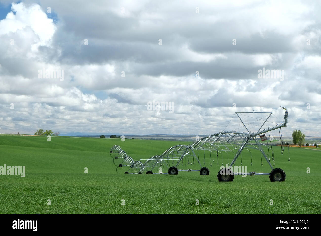 Il centro di rotazione irrigazione nei campi di Idaho Foto Stock