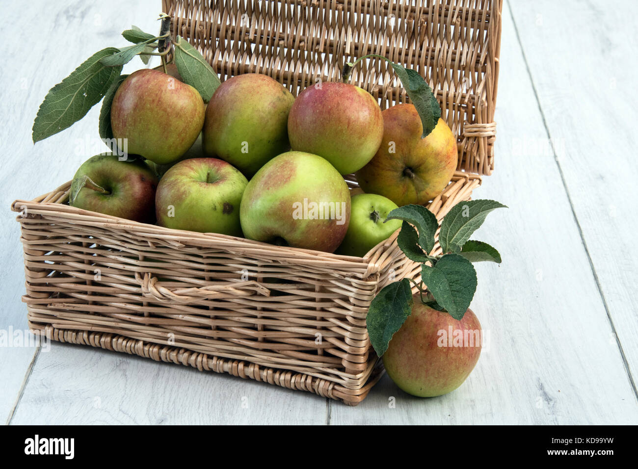 Cesto in Vimini con mele. Foto Stock