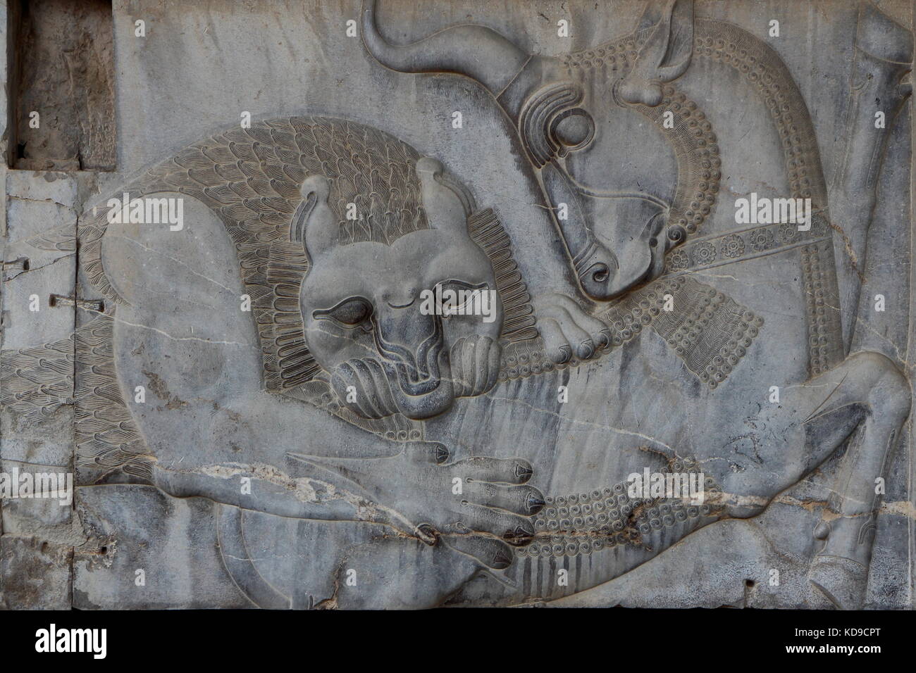 Iran persepolis:nell'equinozio di primavera potenza di combattimento eternamente bull (personificando la terra) e un leone (personificando la sun), sono uguali. Foto Stock