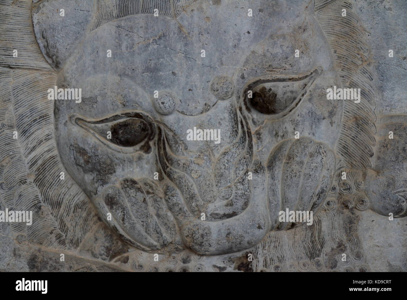 Iran persepolis:nell'equinozio di primavera potenza di combattimento eternamente bull (personificando la terra) e un leone (personificando la sun), sono uguali. Foto Stock