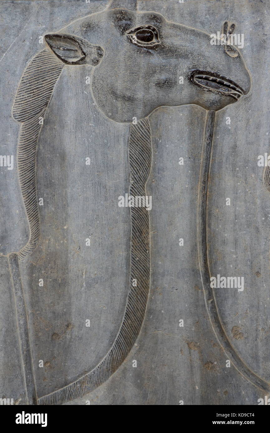 Iran persepolis:nell'equinozio di primavera potenza di combattimento eternamente bull (personificando la terra) e un leone (personificando la sun), sono uguali. Foto Stock