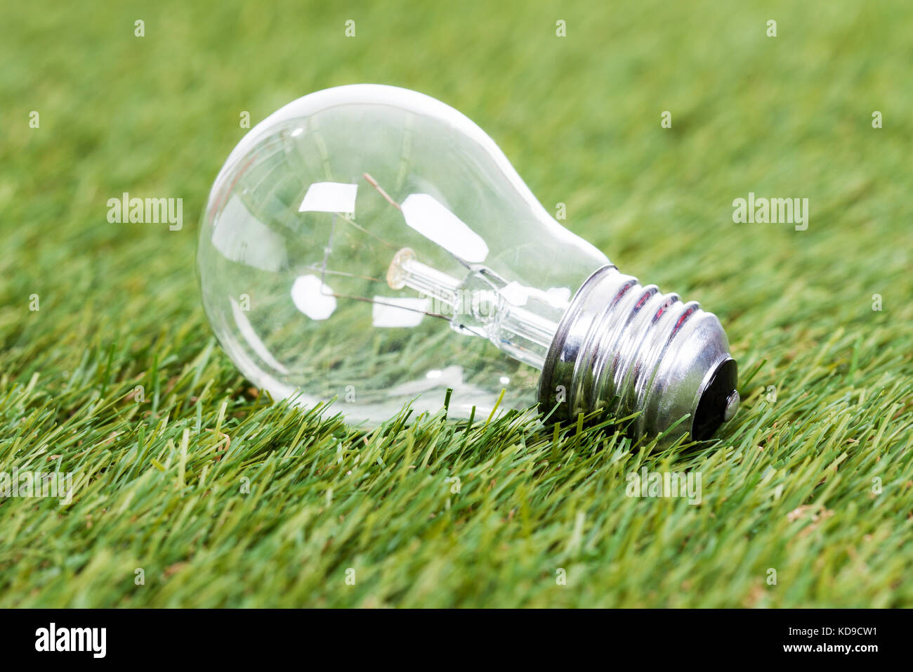 Close-up della lampadina sull'erba verde Foto Stock