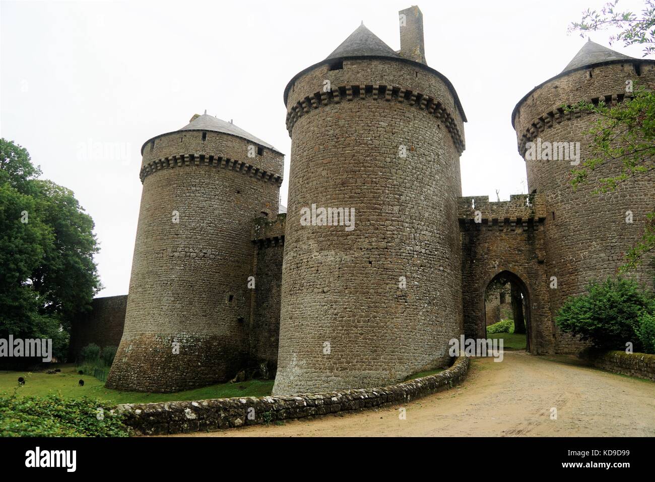 Castello francese con erba e altre piante Foto Stock