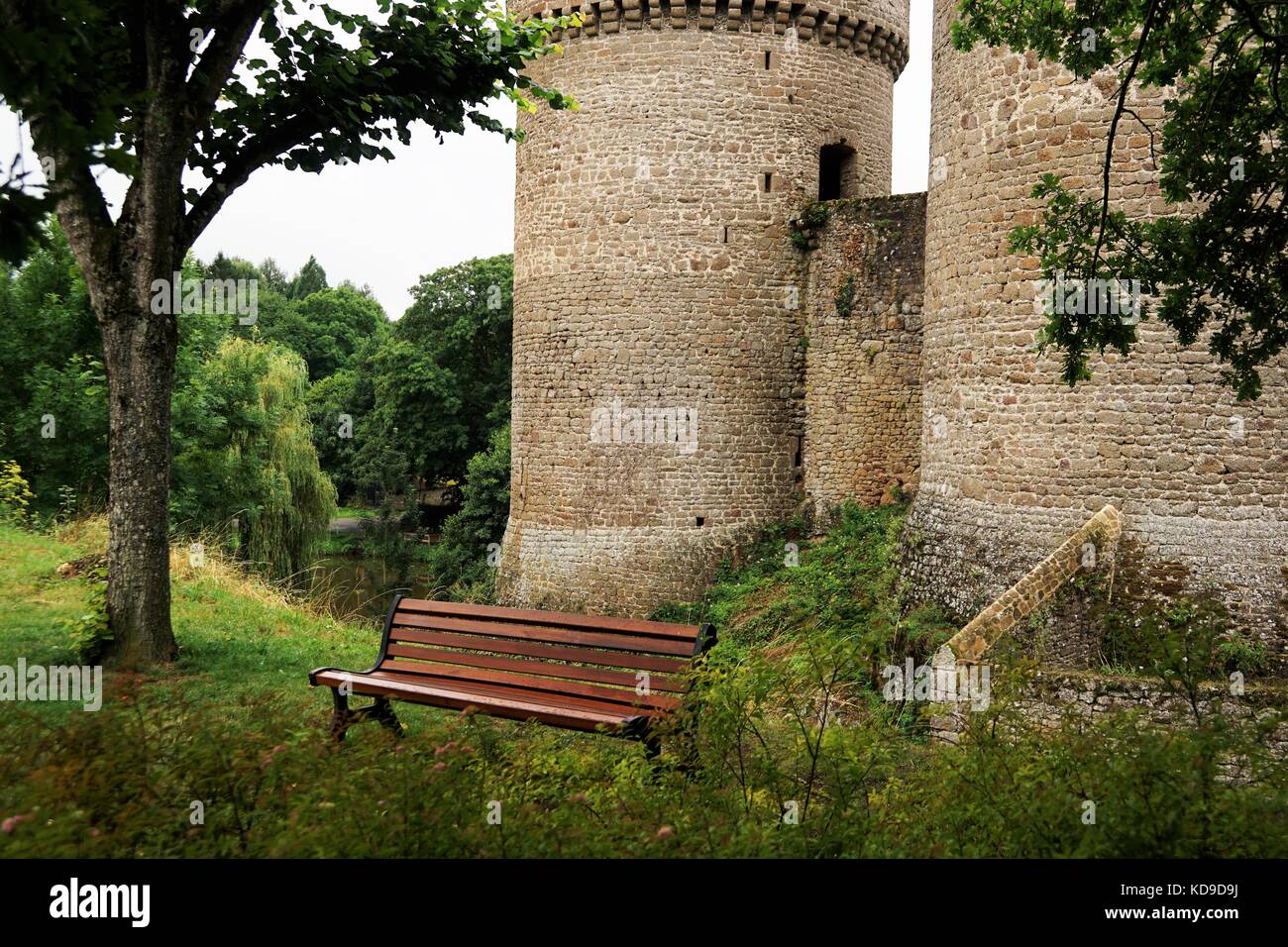 Castello francese con erba e altre piante Foto Stock