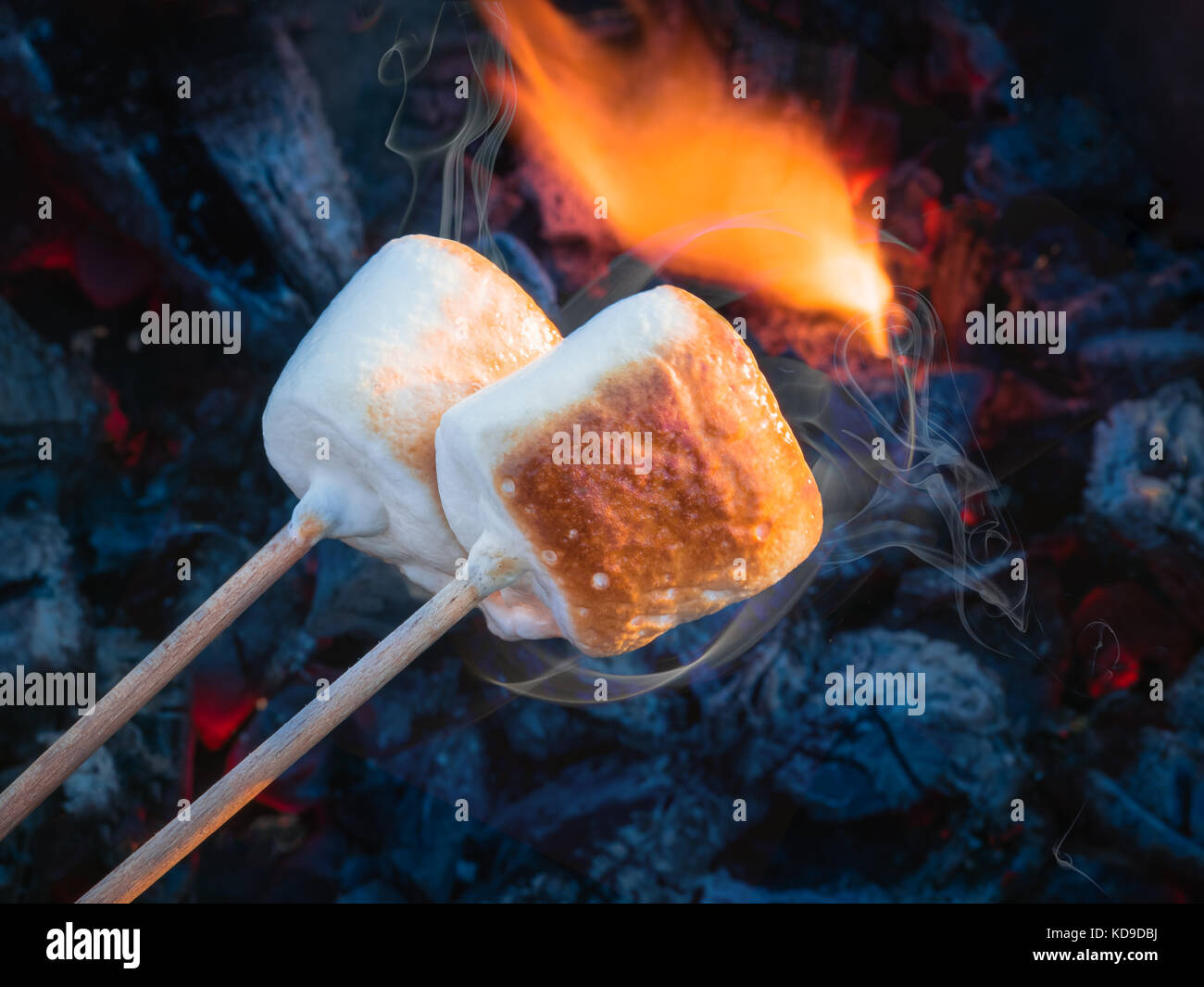 4 Pz Marshmallow Spiedini Acciaio, Spiedini Telescopici per Griglia, Bastoncini per Barbecue Allungabili 31-81 cm, Bastoncini da Tostatura, Spiedini per Barbecue Arrostire Campeggio Falò